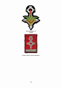 610 LES INSIGNES DE L ALAT EN AFN PAR CHRISTIAN MALCROS_000055